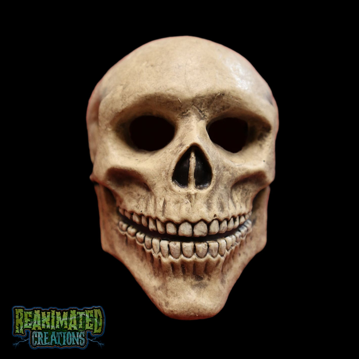 Mini Skull Mask 1