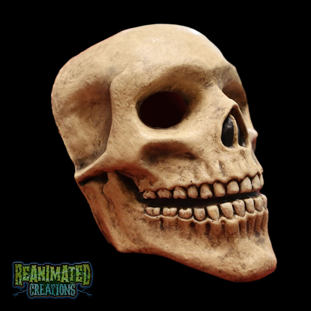Mini Skull Mask 1